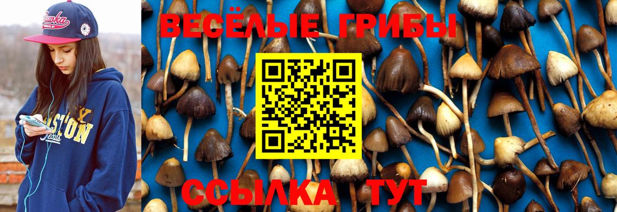 Псилоцибиновые грибы ЛСД  Псилоцибиновые грибы Psilocybe  Вход с VPN  Елизово 